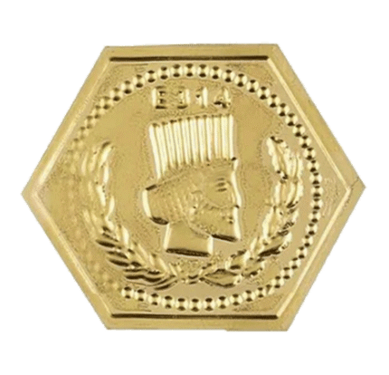 سکه پارسیان 500 سوت